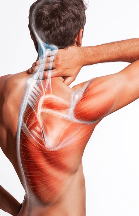 Managing chronic muscle pain from fibromyalgia